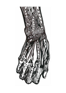 How My Hand Works