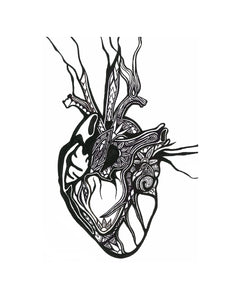 How My Heart Works