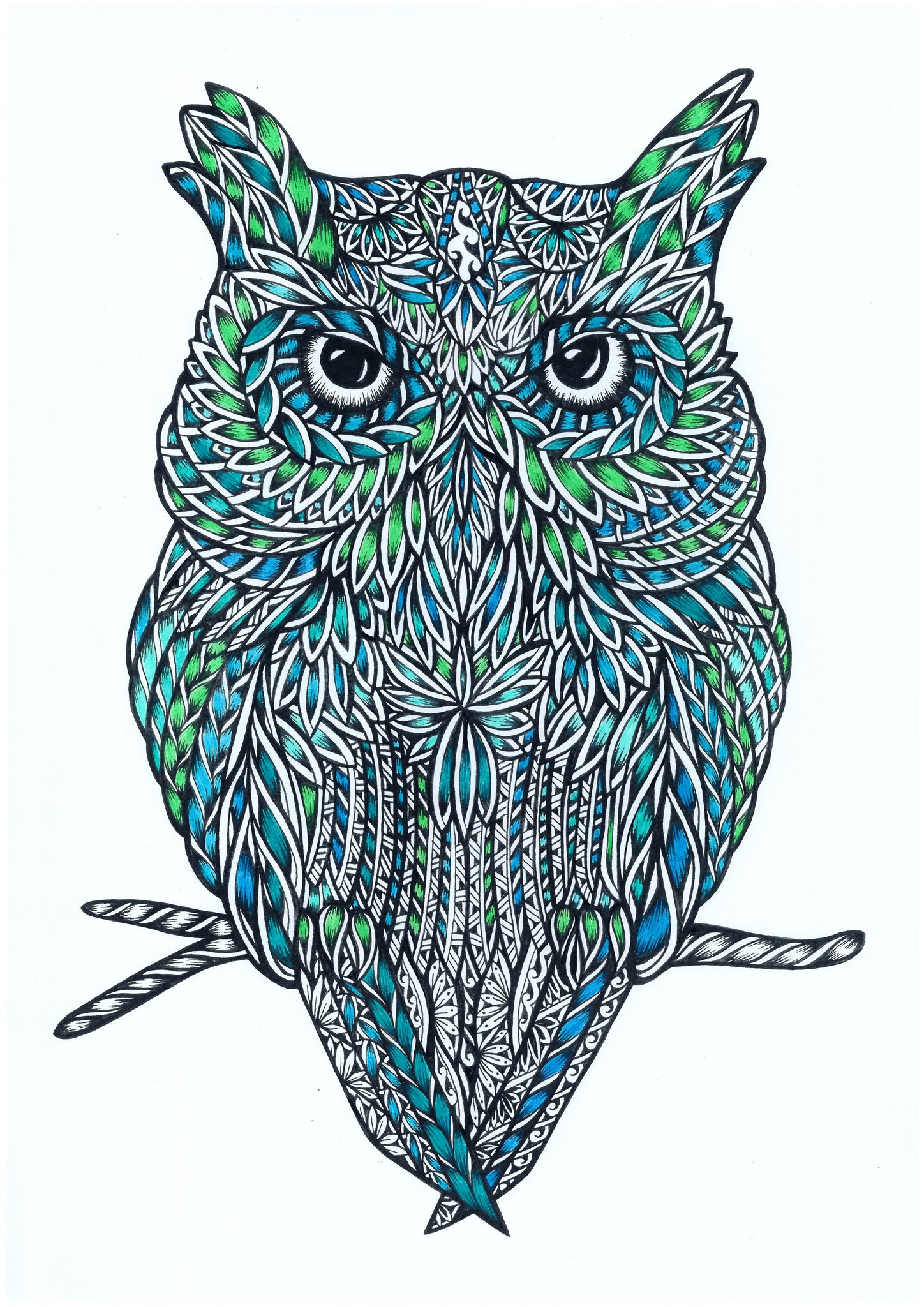 Owl 2022 Coloured Piece