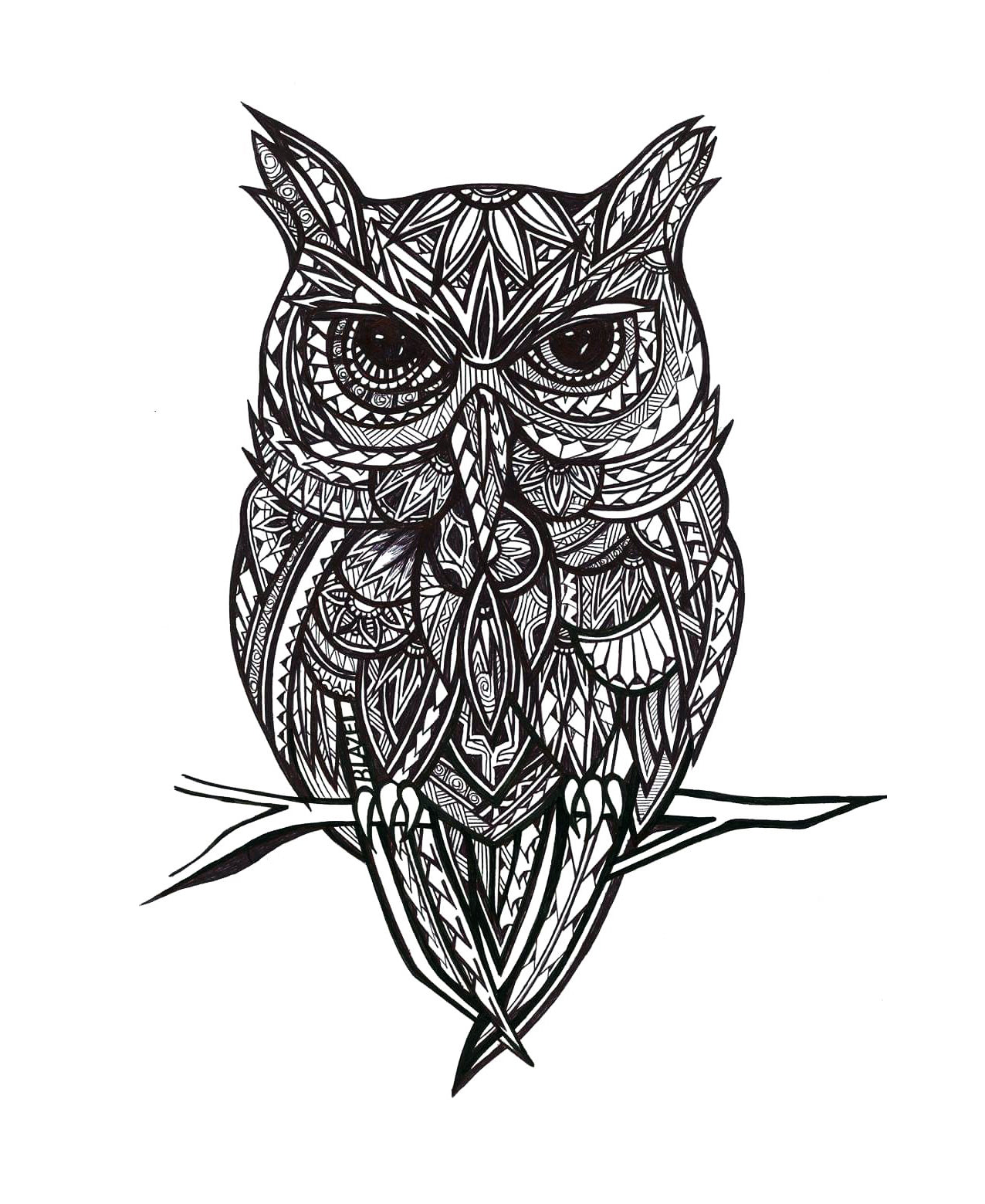 Owl